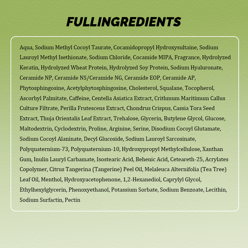 CLEANFULL Silicone Free Shampoo Natural Extract for Healthy Hair